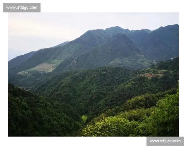 1200 人赴松阳之约:在江南秘境中定向穿行 1200 人赴松阳之约:在江南秘境中定向穿行