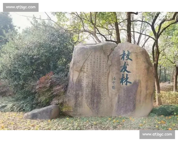 浙大校运会落幕:青春赛场写就拼搏诗 浙大校运会落幕:青春赛场写就拼搏诗