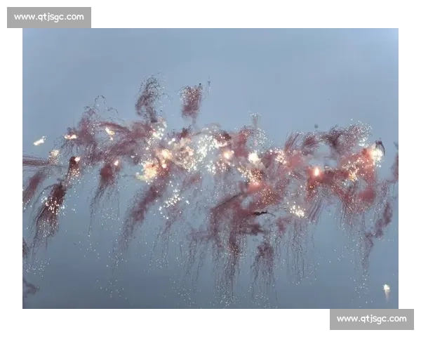 白日烟花正流行:点亮白昼的烟火新篇 白日烟花正流行:点亮白昼的烟火新篇